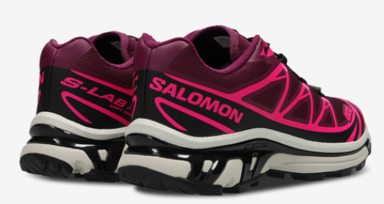 Salomon XT-6