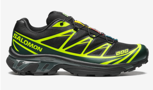 Salomon XT-6