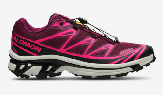 Salomon XT-6