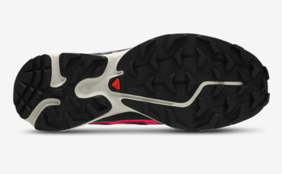 Salomon XT-6